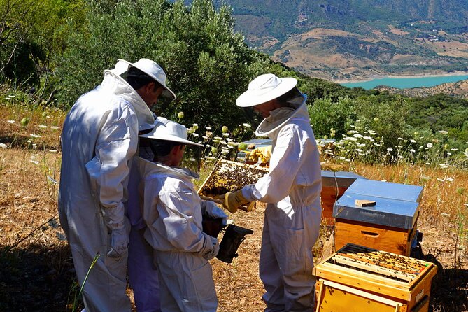 Bee Excursions in the Sierra De Cadiz - Good To Know