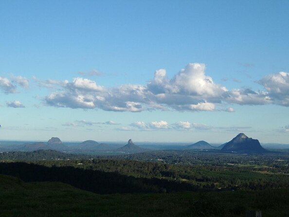 Bellthorpe Rainforest Private Tour