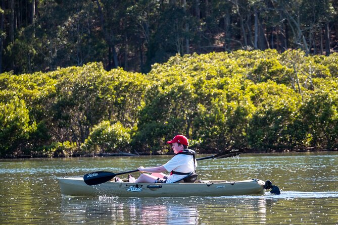 Bermagui River Kayak Tour