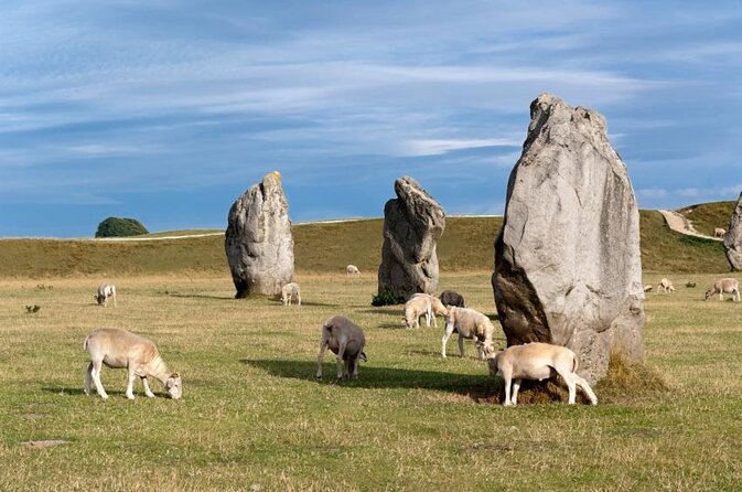 9 Best Tours In Salisbury