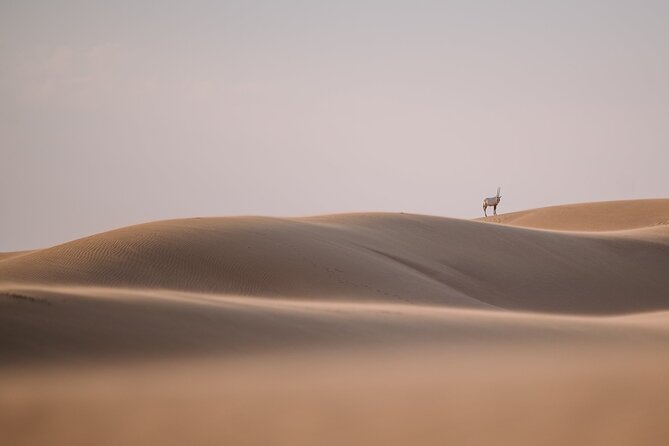 Best of Arabia in 1 Day - Good To Know