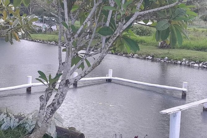 Best of Nadi Highlights From Coral Coast Hotels