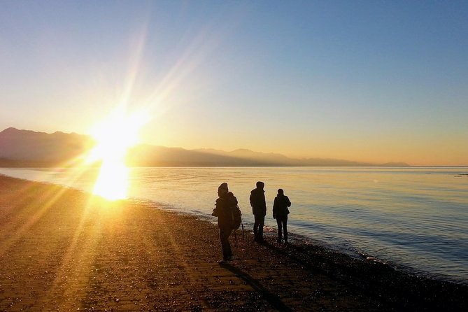 Best of Olympic National Park From Seattle: All-Inclusive Small-Group Day Tour
