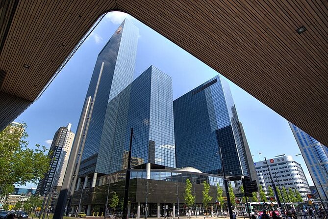 Best of Rotterdam: Small-Group Walking Tour