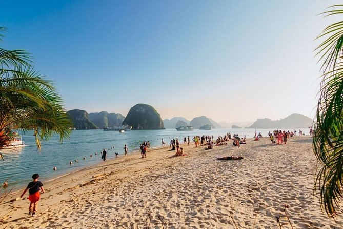 Best Seller Halong Bay Day Tour: Cruise, Lunch, Island and Cave - Tour Highlights