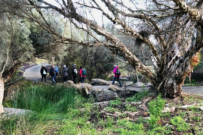 Bickley Valley Hiking Experience - Good To Know