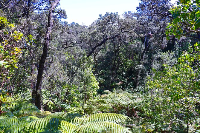 Big Island Exclusive Private Tour to Kilauea and Beyond  – Big Island of Hawaii