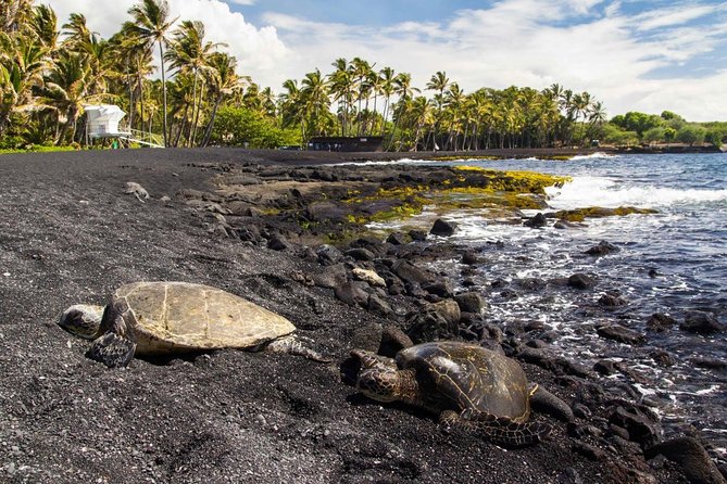 Big Island Highlights: Coffee, Volcano, Black Sands & Waterfall - Good To Know