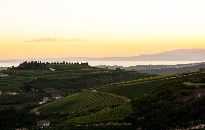 Bike Station Valpolicella: E-Bike Tour & Amarone Tasting