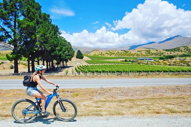 Bike the Valley of the Vines From Arrowtown- Return Shuttle From Queenstown