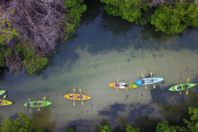 Bio Bay Kayak Tour in Puerto Rico - Whats Included in the Tour