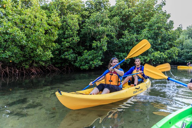 Bio Bay Night Kayaking With Transportation From San Juan Area