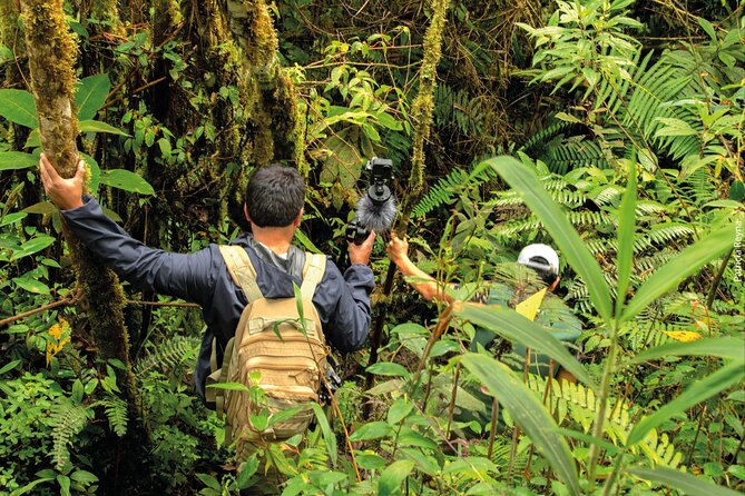 Bioacoustic Ecotourism Play Flora and Listen Fauna in Oxapampa - Good To Know