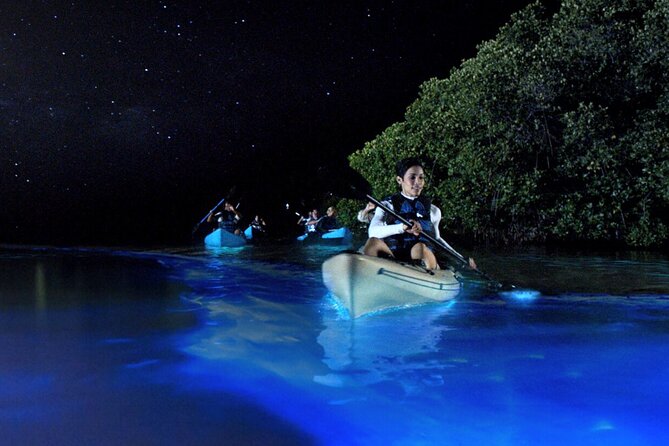 Bioluminescence Clear Kayak or Clear Paddleboard Adventure Tour
