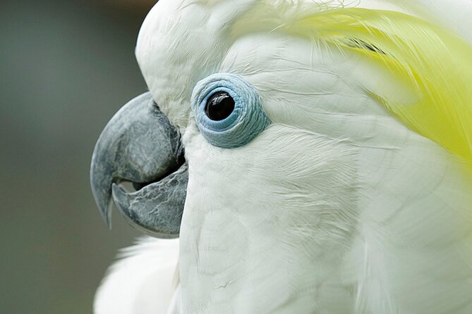Bird Paradise Singapore