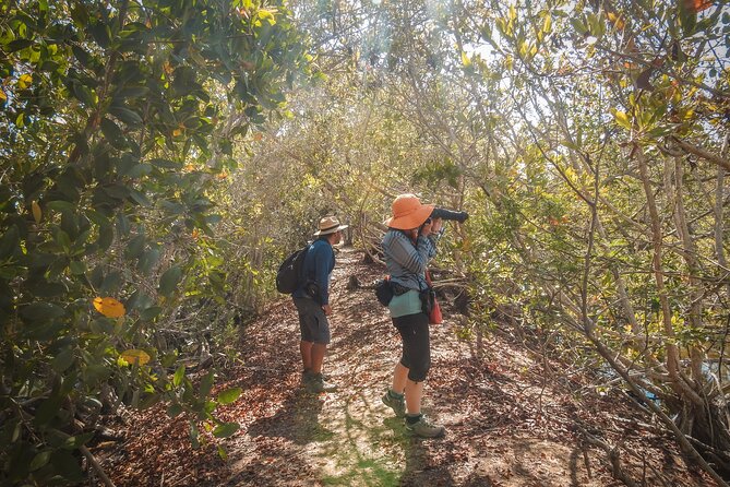 Bird Watching Mazatlán – Birding Tour