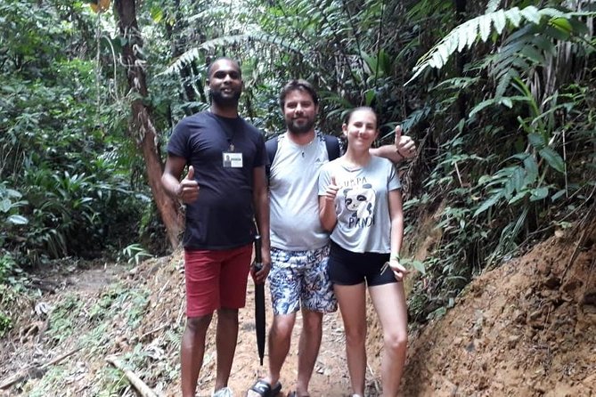 Birdwatching, Waterfall, Rainforest and Island Nature Tours - Good To Know
