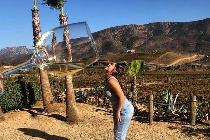 Birthday & Bachelorette Party Valle De Guadalupe & Four Fours