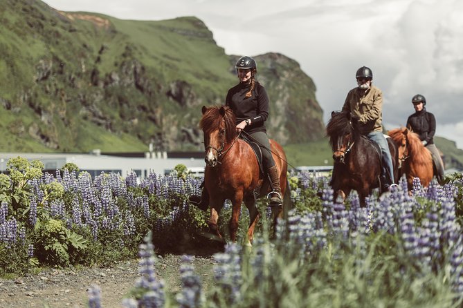Black Sand Beach Horse Riding Tour From Vik - Good To Know
