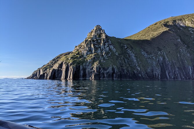 Blasket Islands Wildlife Boat Tour From Dingle