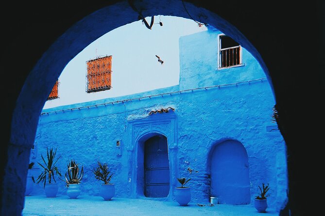 Blue Bliss & Waterfall Wonders: Chefchaouen & Akchour Day Escape - Overview of Chefchaouen and Akchour