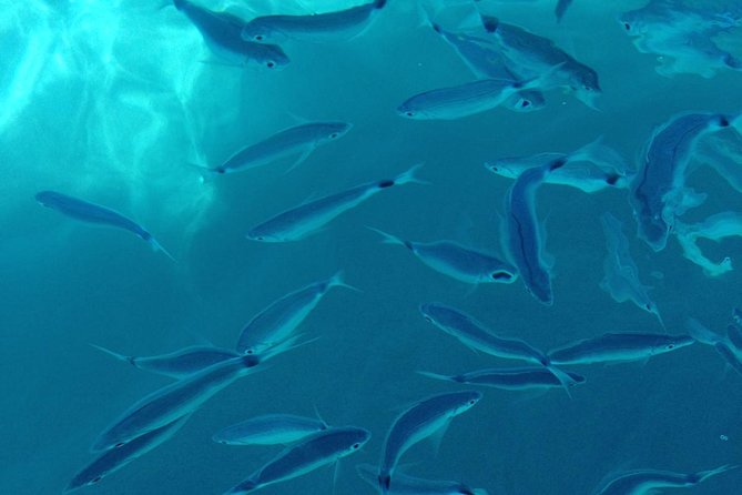 5 Best Snorkeling Experiences In Tropea
