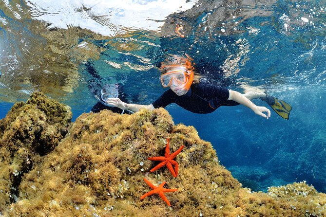Boat Trip and Snorkeling in the Gulf of Calvi - Good To Know