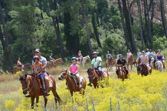 Bodrum Horse Riding Experience W/ Hotel Transfer Service - Booking Confirmation
