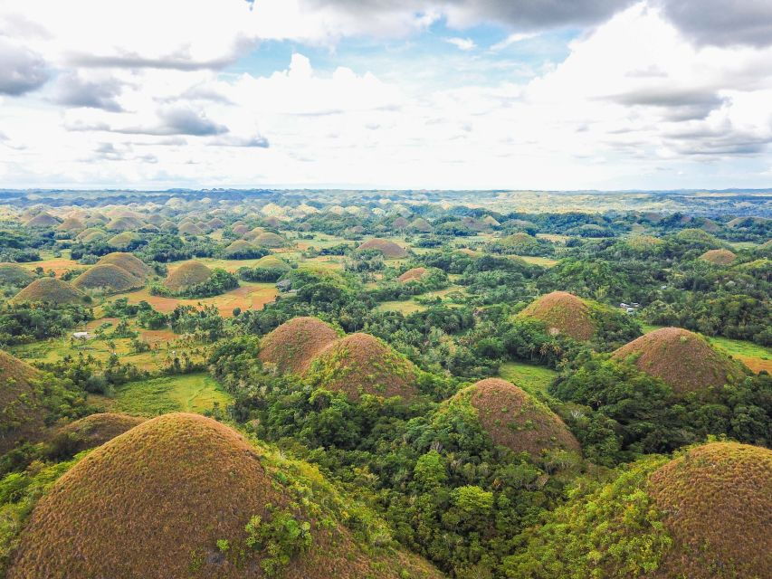 Bohol Island: Countryside Day Tour