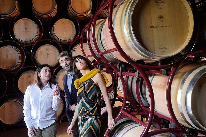 15 Best Wine Tours In Livorno
