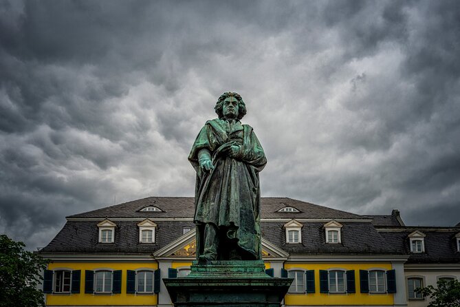 8 Best Guided Tours In Bonn