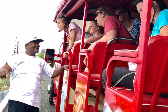 Book Your Private Two and a Half Hour Island Tour Today!