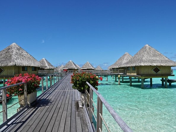 Bora Bora 4WD Tour & Eco Shark & Ray Snorkel Cruise - Tour Details and Highlights