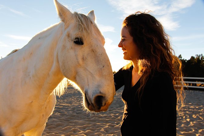 Boulder Equine Discovery Experience