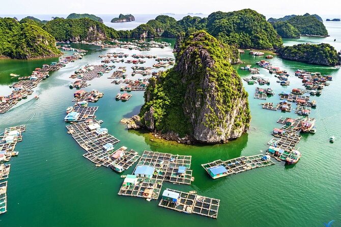 Boutique Cruises to Cat Ba Island & Lan Ha Bay From Hanoi (2d1n) - Pricing and Lowest Price Guarantee