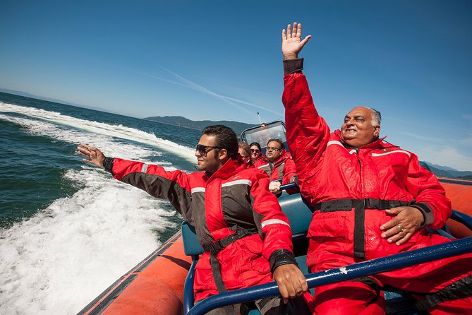 Bowen Explorer Sea Safari Tour