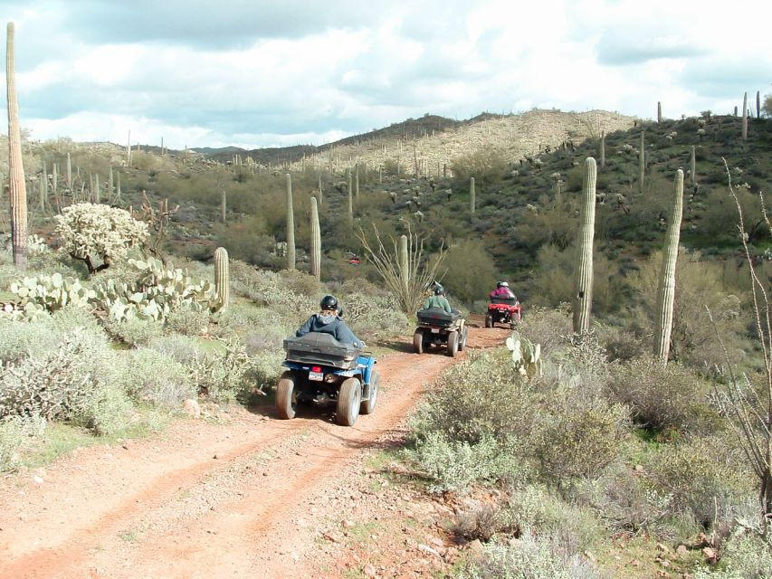 Box Canyon Y Pinal Mountains Tour En ATV De Medio Día. - Good To Know