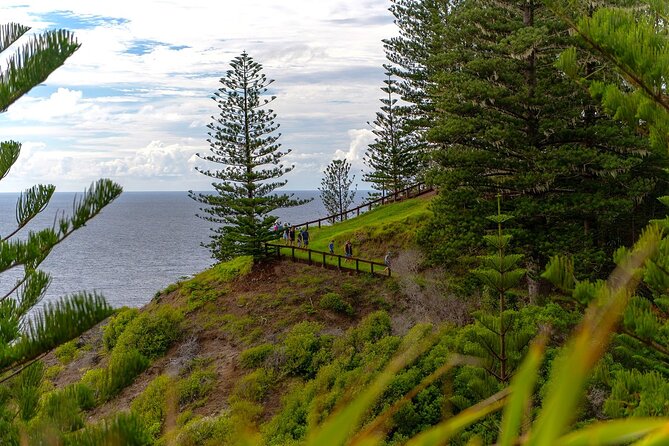 Breakfast Bushwalk in Norfolk Island