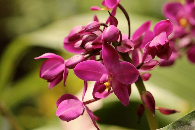 Breathtaking Wonders – Harrisons Cave and Huntes Gardens