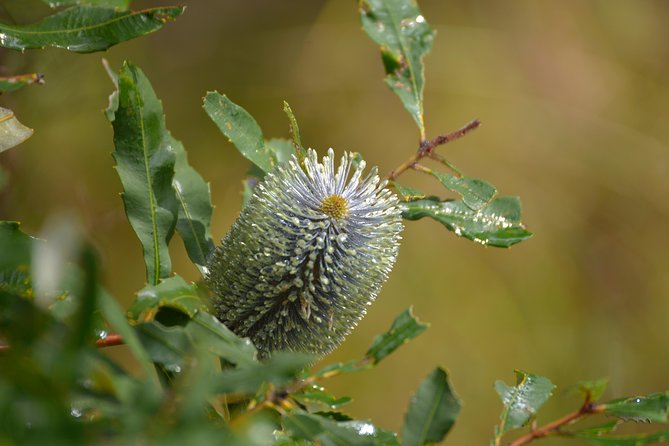 Brisbanes Photography Course For Beginners