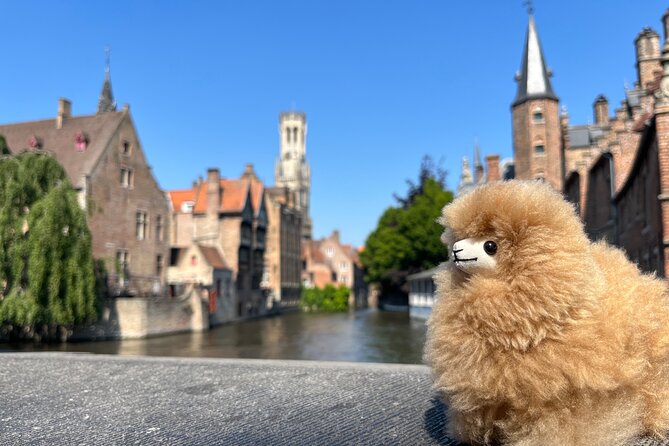 Bruges Tour From Paris: Guided Private Trip & Chocolate Tasting - Good To Know