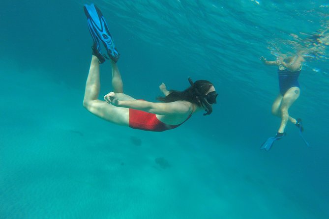 Buccoo Reef and Nylon Pool Adventure - Overview and Details