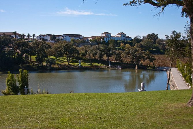 Buddha Eden Garden and Óbidos Village in Portugal (70km of Lisbon) - Transportation Details