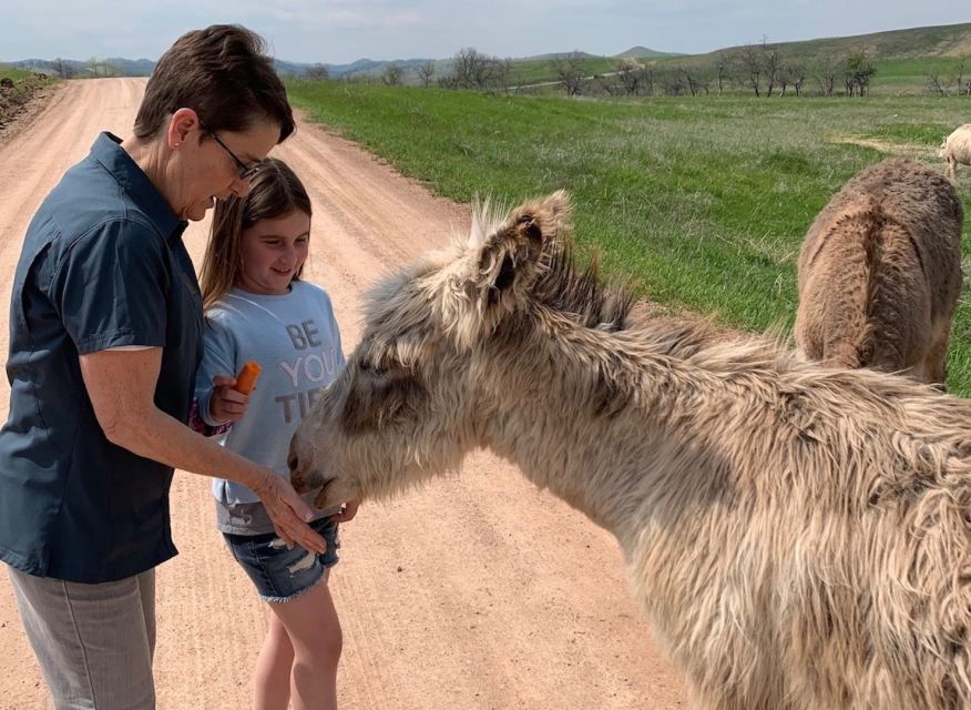 5 Best Safari Tours In Rapid City