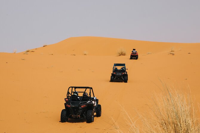 Buggy Ride Desert Tour - Buggy Ride Overview