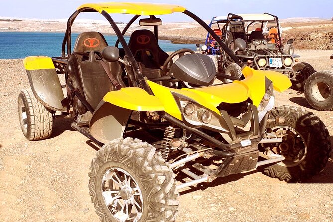 Buggy Safari In Costa Calma - Pricing and Booking