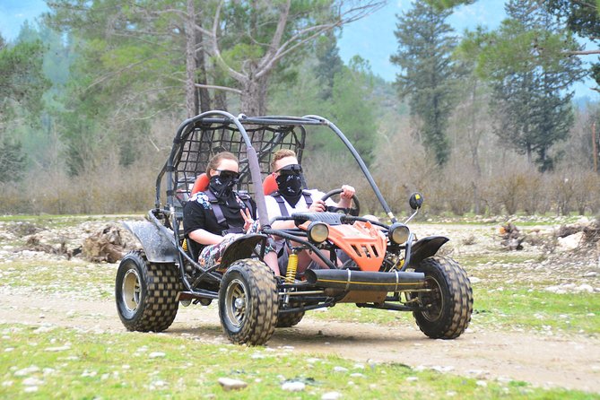 Buggy Safari