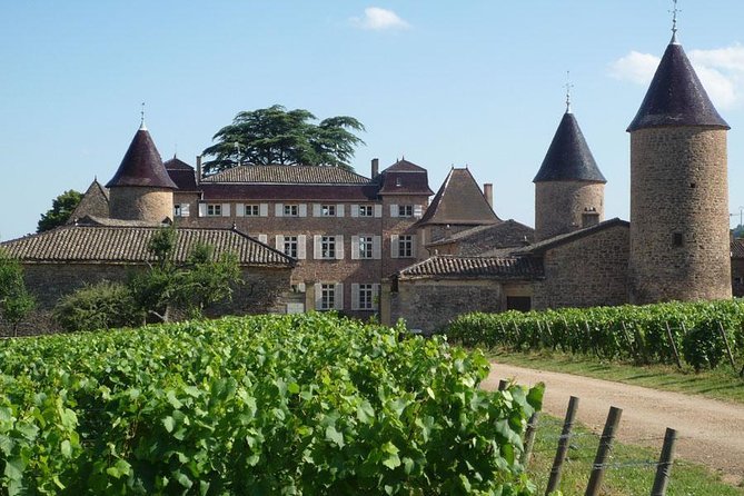 Burgundy Private Castles Tour With Wine Tasting From Lyon