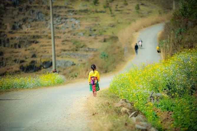 Bus From Hanoi to Ha Giang & Bus Ha Giang to Hanoi - All Inclusive - Select Date and Travelers