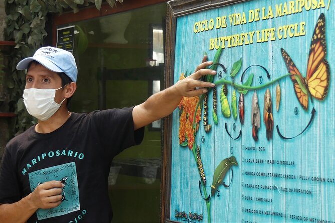 Butterfly Sanctuary Guided Tour in Puerto Vallarta